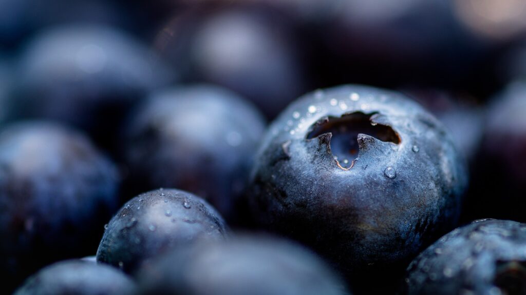 blueberries, berries, healthy-3432295.jpg